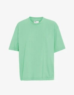 Colorful Standard Oversized Organic T-Shirt - Seafoam Green