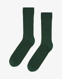 Colorful Standard Classic Organic Sock - Emerald Green