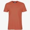Colorful Standard Classic Organic Tee - Dark Amber